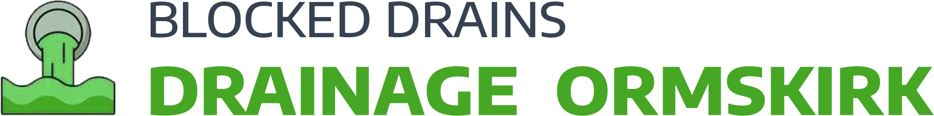 website logo